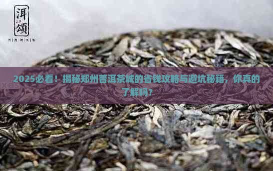 郑州市普洱茶城