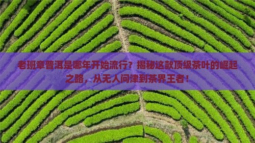 老班章普洱是哪年开始流行