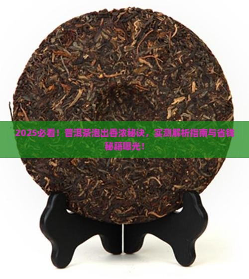 普洱茶怎么泡的香浓一点
