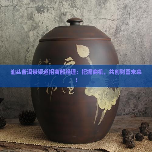 汕头普洱茶渠道招商部经理