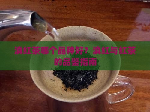 滇红茶那一个品种好呢