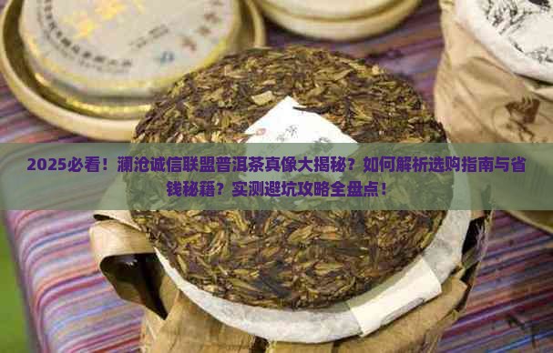 澜沧诚信联盟普洱茶