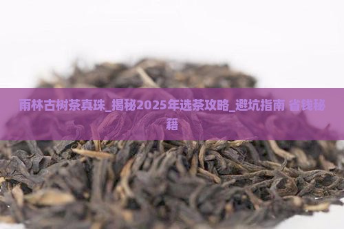 雨林古树茶真珠