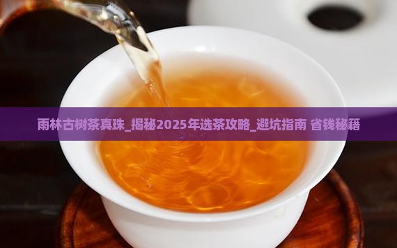雨林古树茶真珠