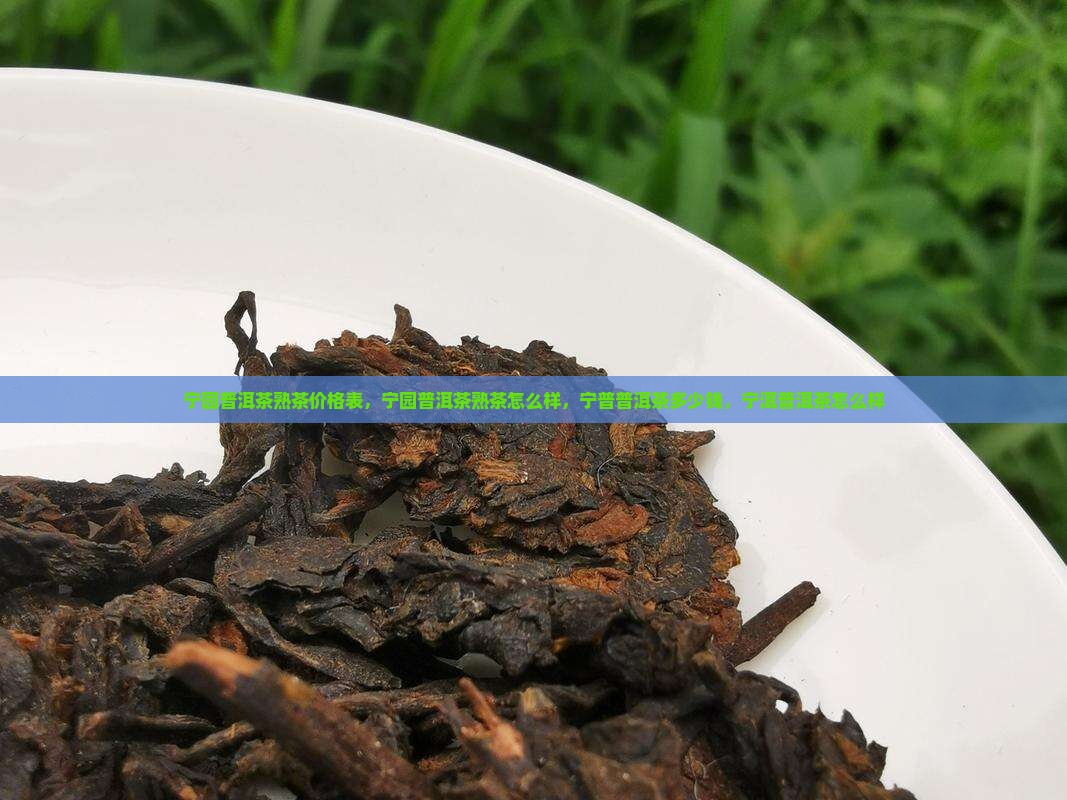 宁园普洱茶熟茶