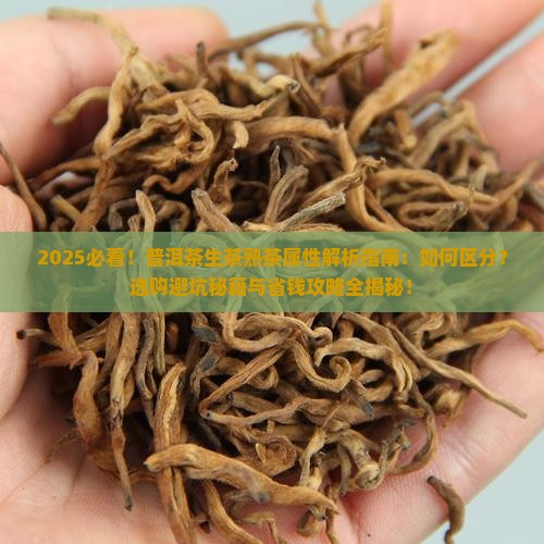 普洱茶生茶熟茶是属性吗