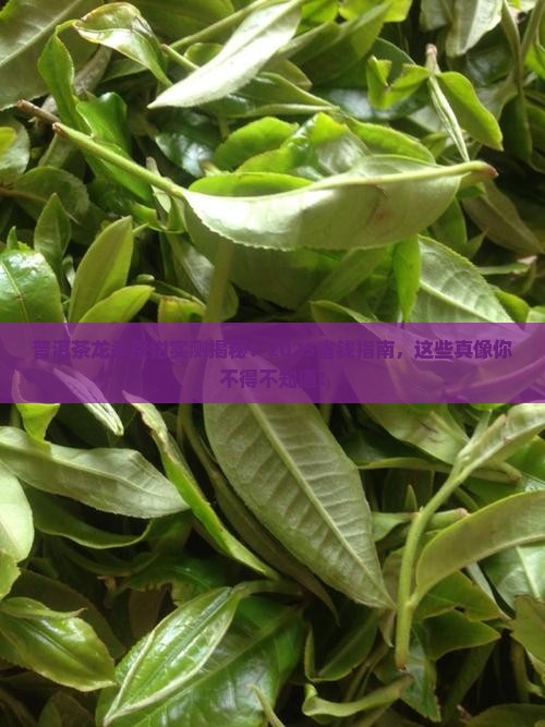 普洱茶龙头茶钳