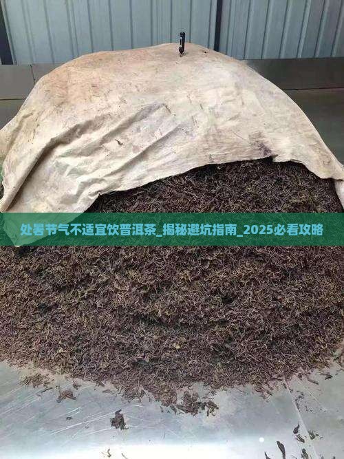 处暑节气不适宜饮普洱茶