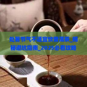 处暑节气不适宜饮普洱茶