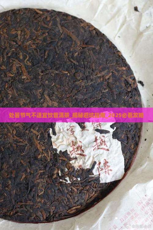 处暑节气不适宜饮普洱茶