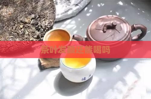 茶叶发酸还能喝吗