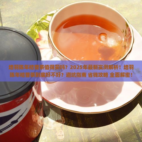 培羽陈年桔普茶怎么样