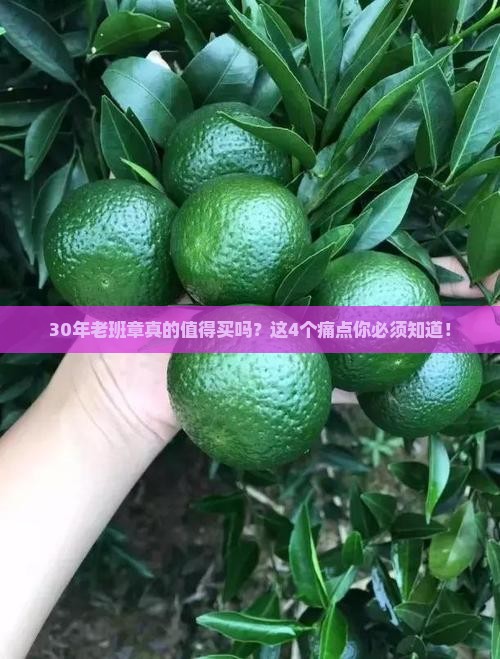30年老班章介绍