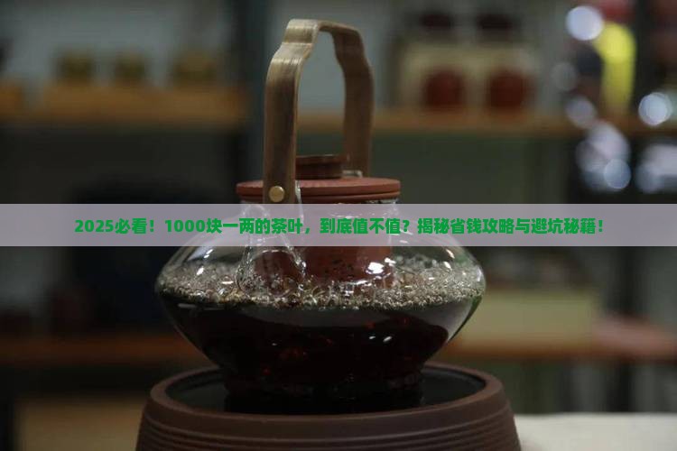 1000块一两的茶叶