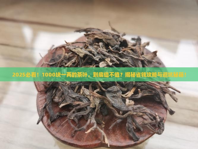 1000块一两的茶叶