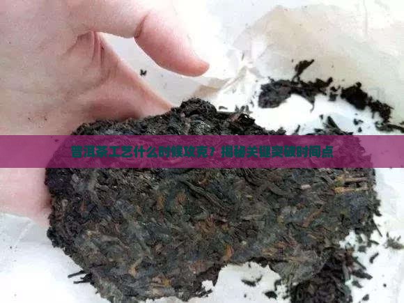 普洱茶工艺什么时候攻克