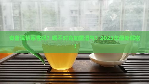 青普洱茶寒性吗