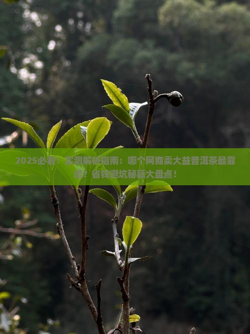 哪个网商有大益普洱茶卖
