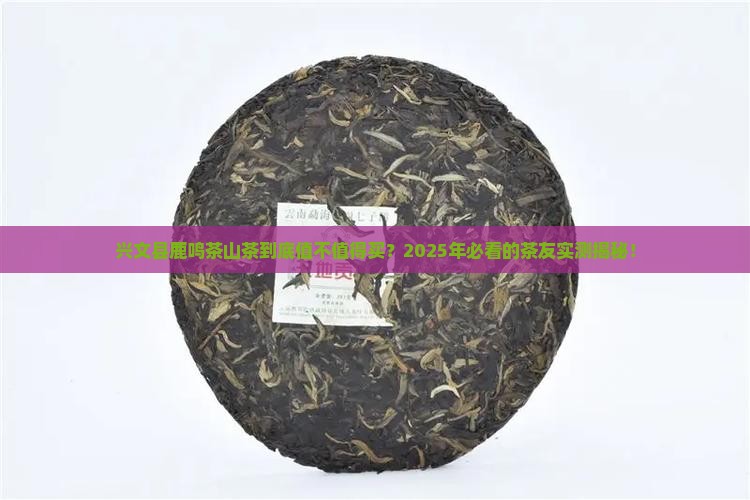 兴文县鹿鸣茶山茶怎么样