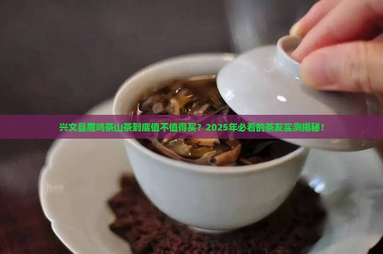 兴文县鹿鸣茶山茶怎么样