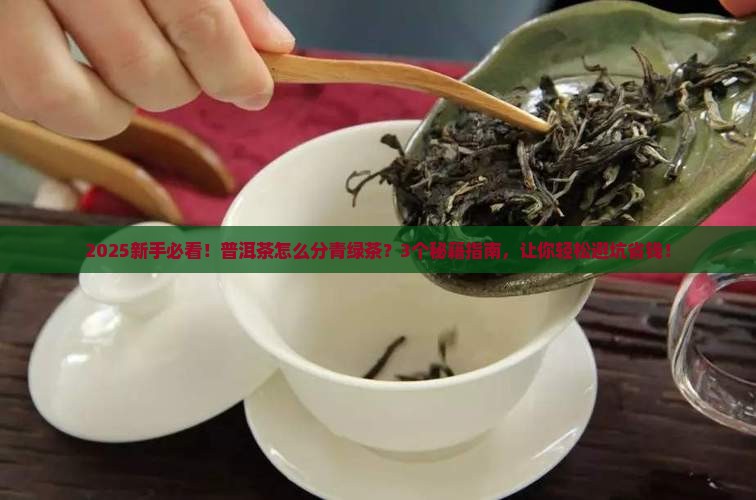普洱茶怎么分青绿茶