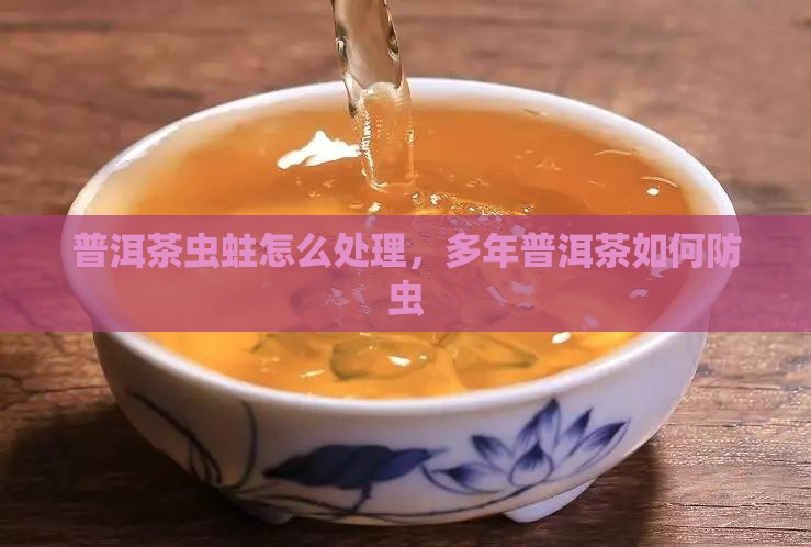 普洱茶太多年了蛀虫了