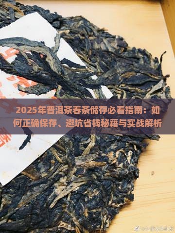 普洱茶春茶怎么储存