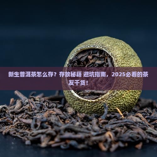 新生普洱茶如何存放