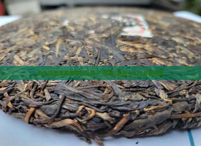 女生喝普洱茶推荐什么杯子