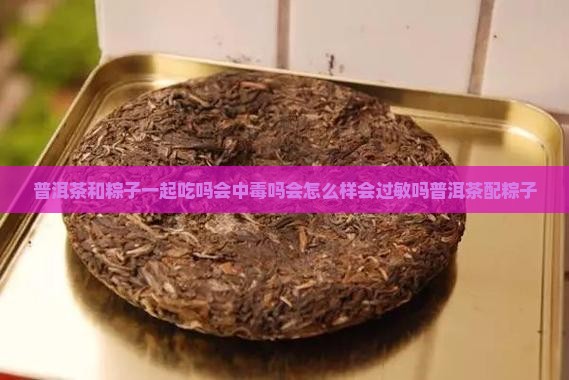 普洱茶和粽子一起吃吗