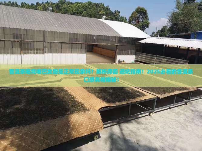 普洱茶喝完嘴巴发甜什么原因