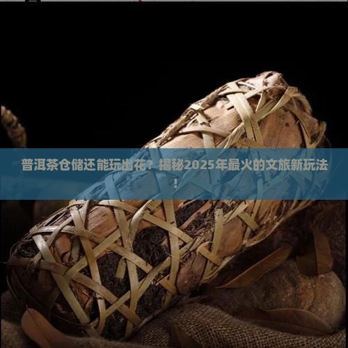 发展普洱茶仓储文旅产业