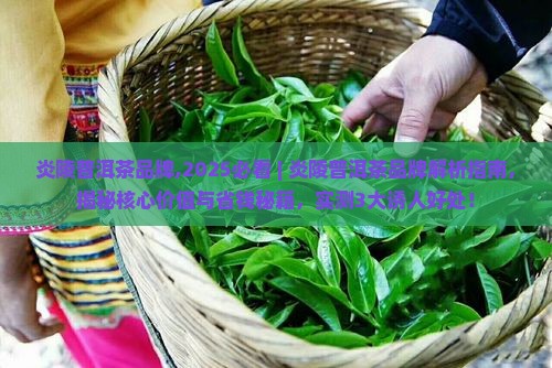 炎陵普洱茶品牌