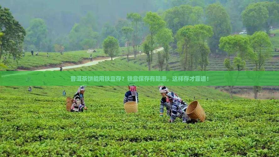 普洱茶饼能用铁盒存