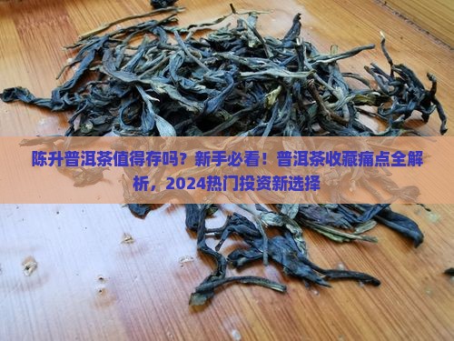 陈升普洱茶值得存吗为什么