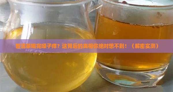 普洱茶嗓子痒怎么回事