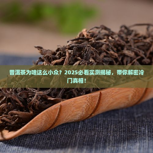 普洱茶为什么很少人喝过