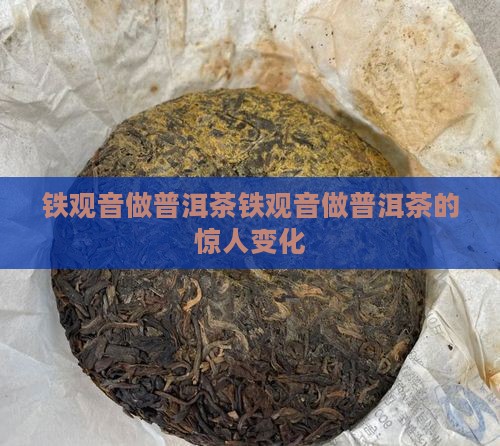 铁观音做普洱茶