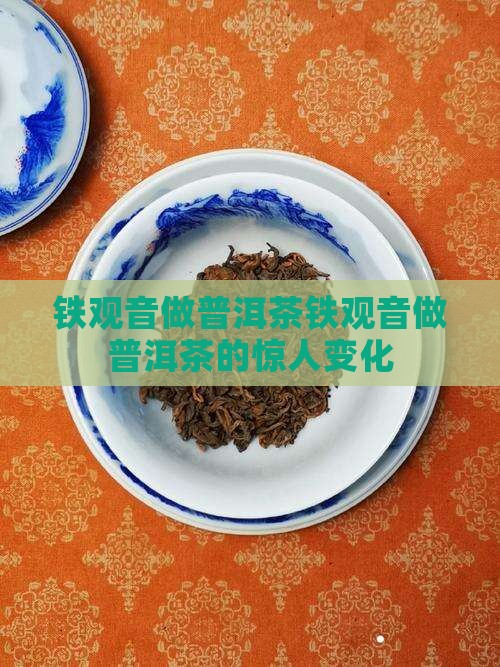 铁观音做普洱茶