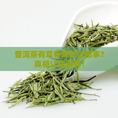 普洱茶有草香味怎么回事