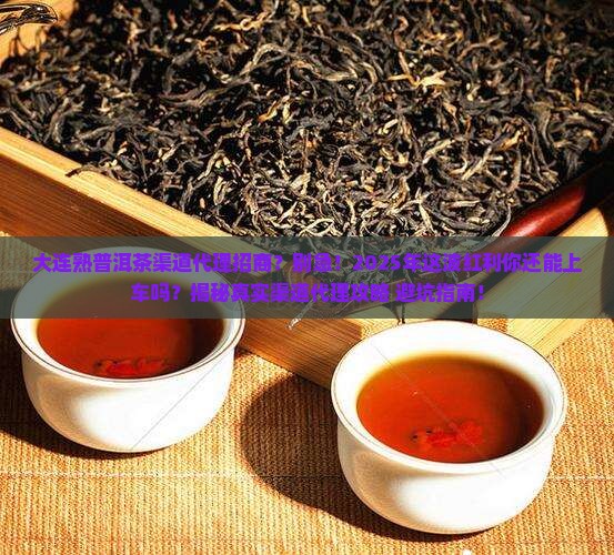 大连熟普洱茶渠道代理招商