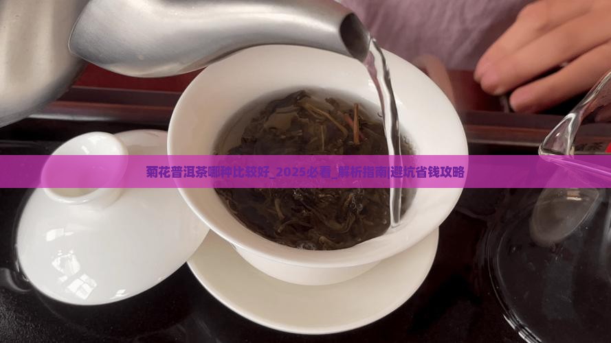 菊花普洱茶哪种比较好