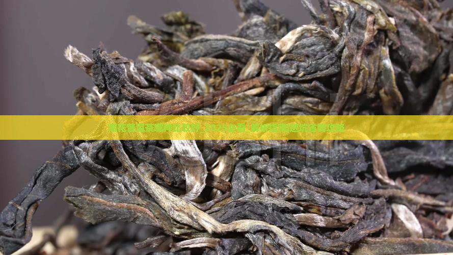 菊花普洱茶哪种比较好
