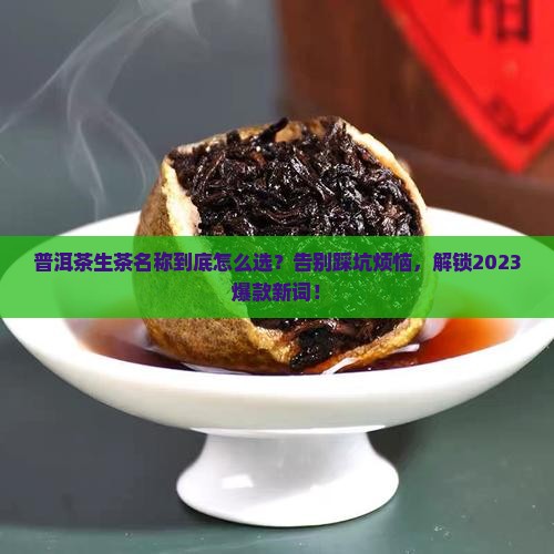 普洱茶生茶名称