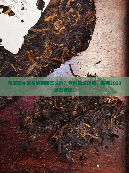 普洱茶生茶名称