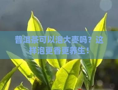 普洱茶可以泡大枣吗