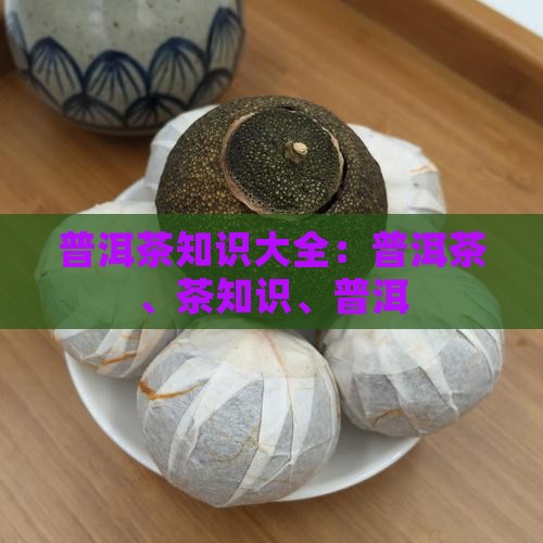 普洱茶知识100例