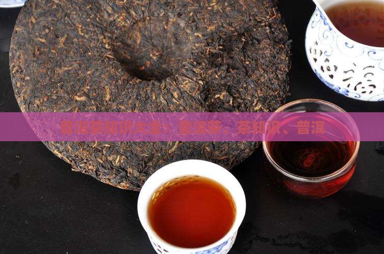普洱茶知识100例