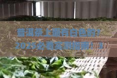普洱茶上面有白色的