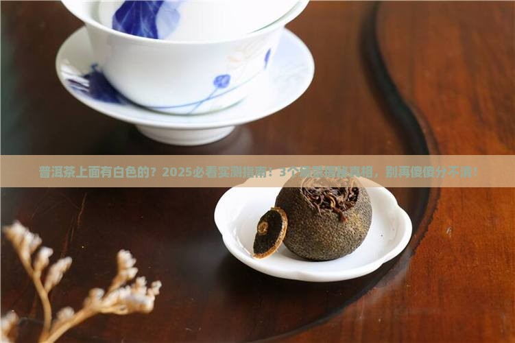 普洱茶上面有白色的